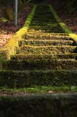 冬の神社4