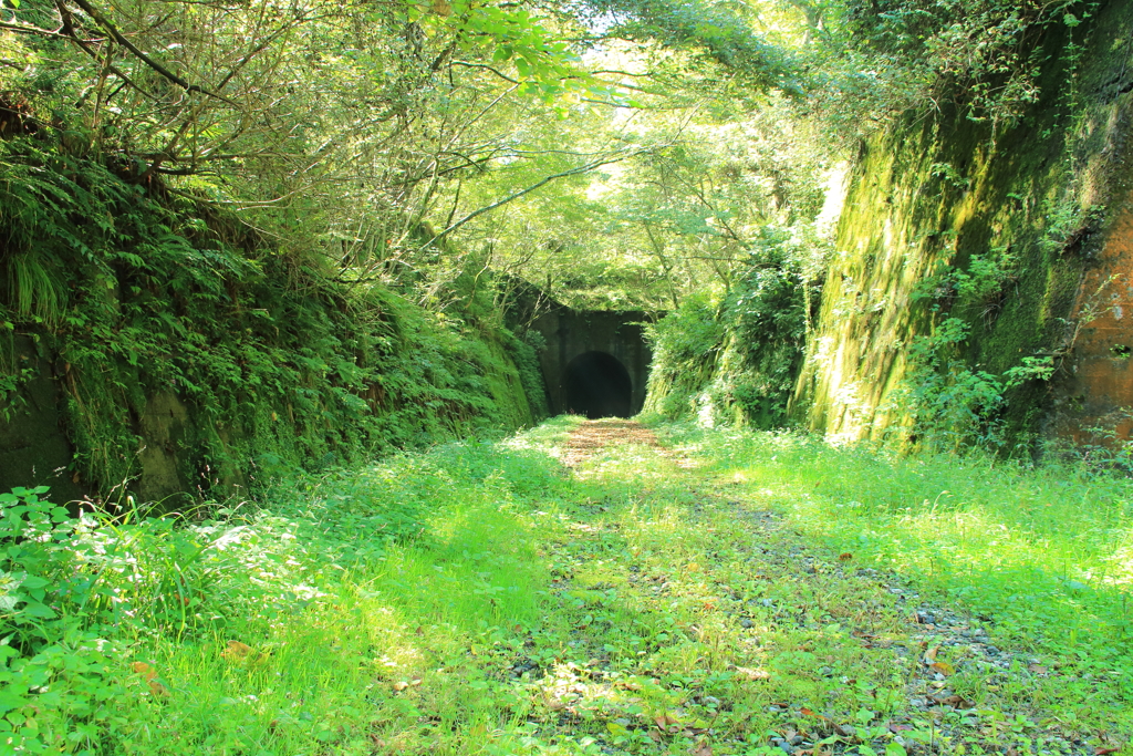 緑の廃線跡