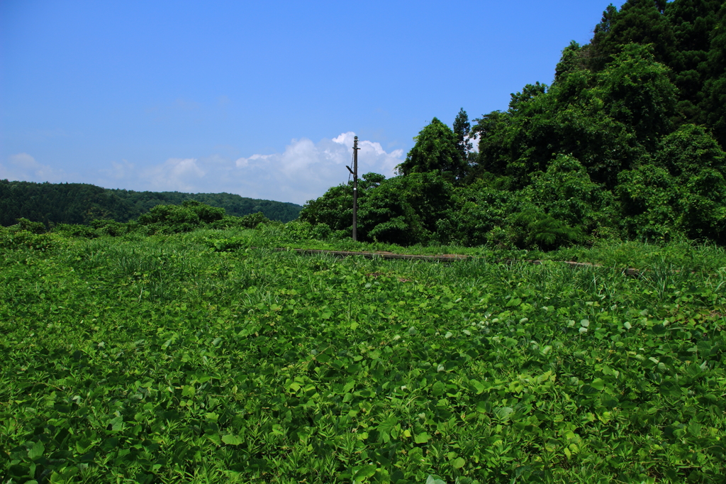 廃駅その2