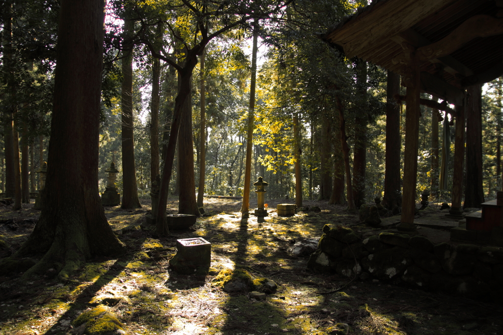 冬の神社1