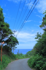 海の見える道2