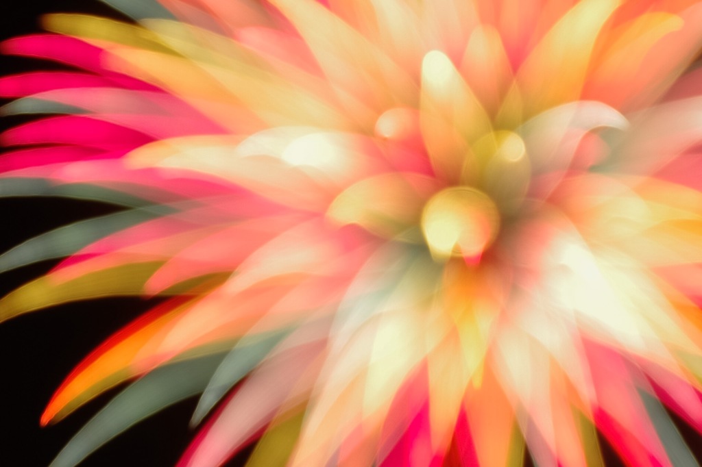 Like flowers
