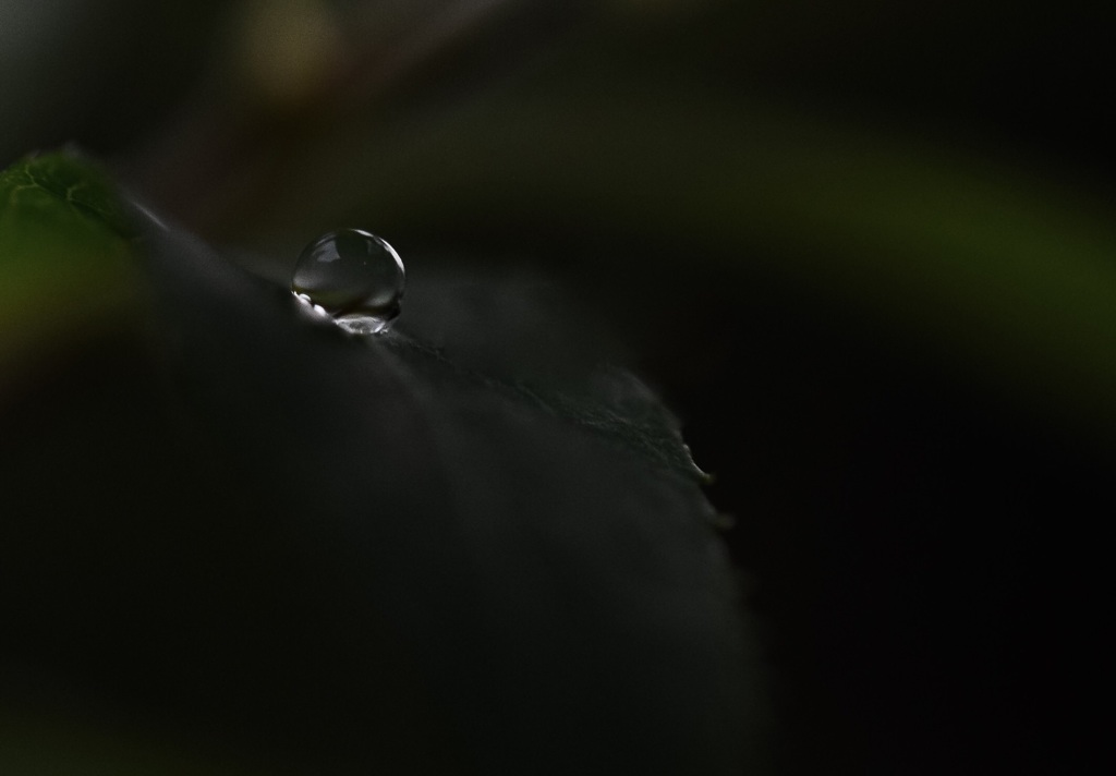 雨音