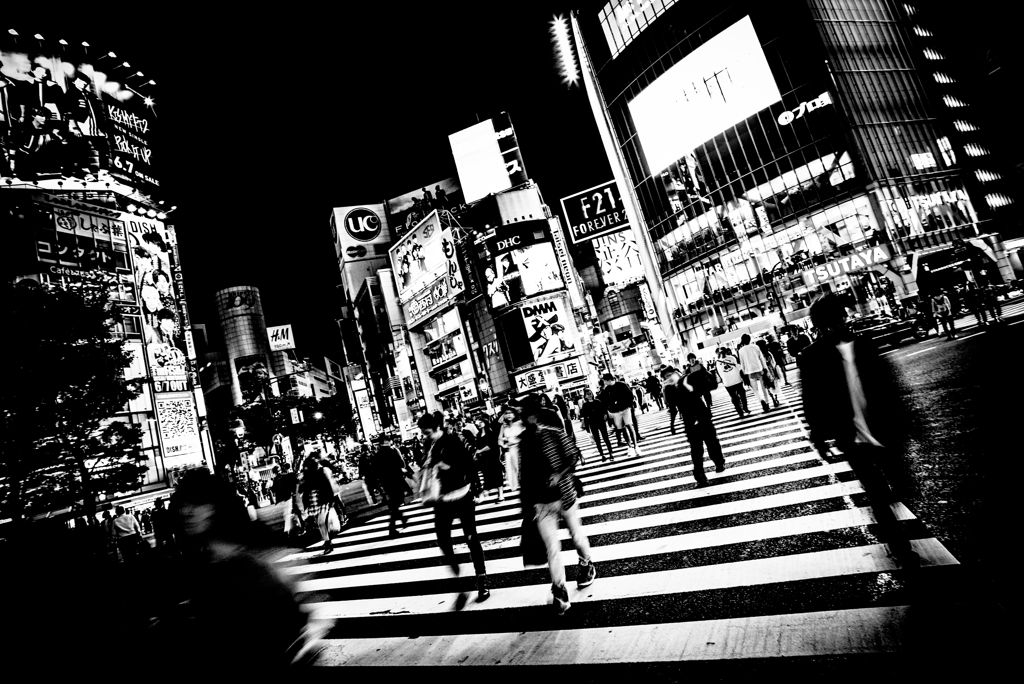 交差する残像