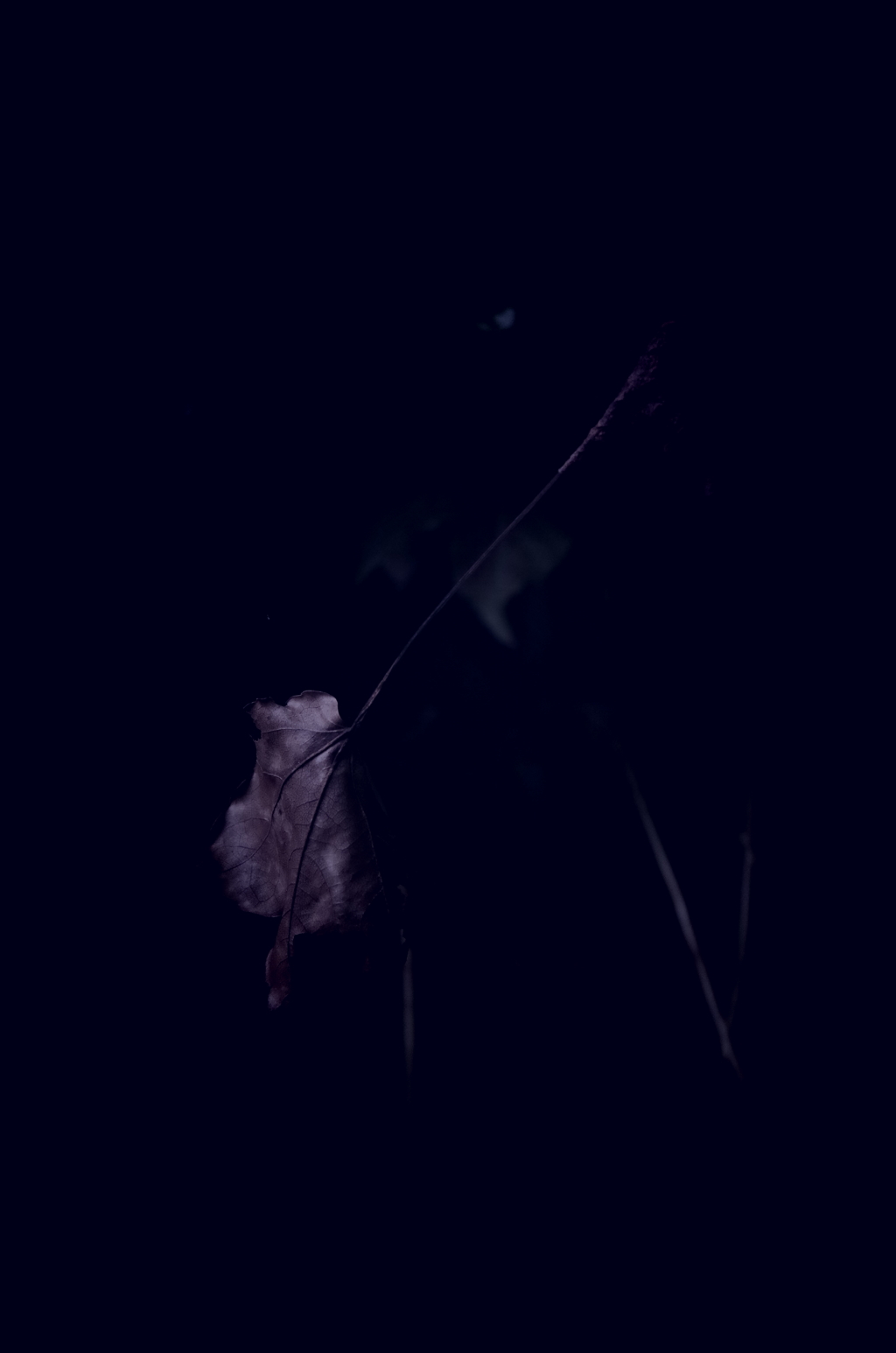 枯れた藍色