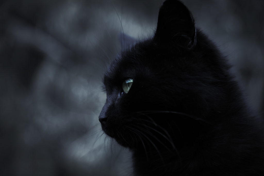emerald black