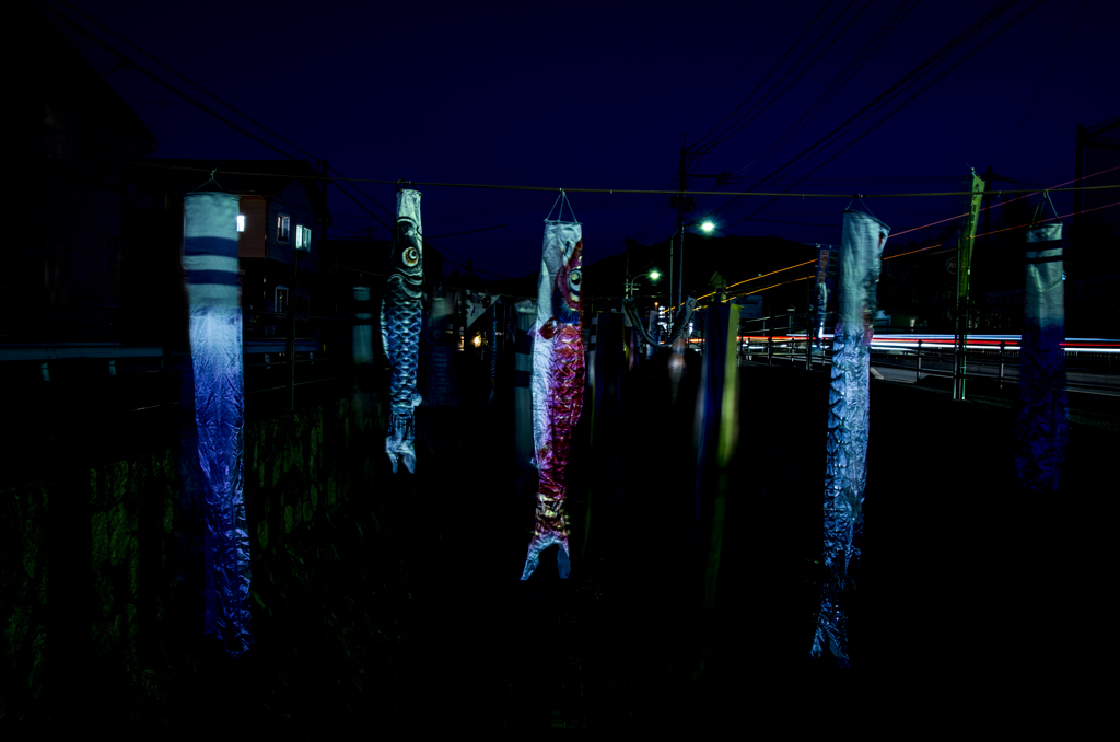 鯉のぼりの夜