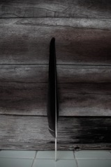 黒い羽