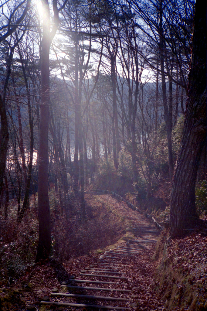 XA_00047
