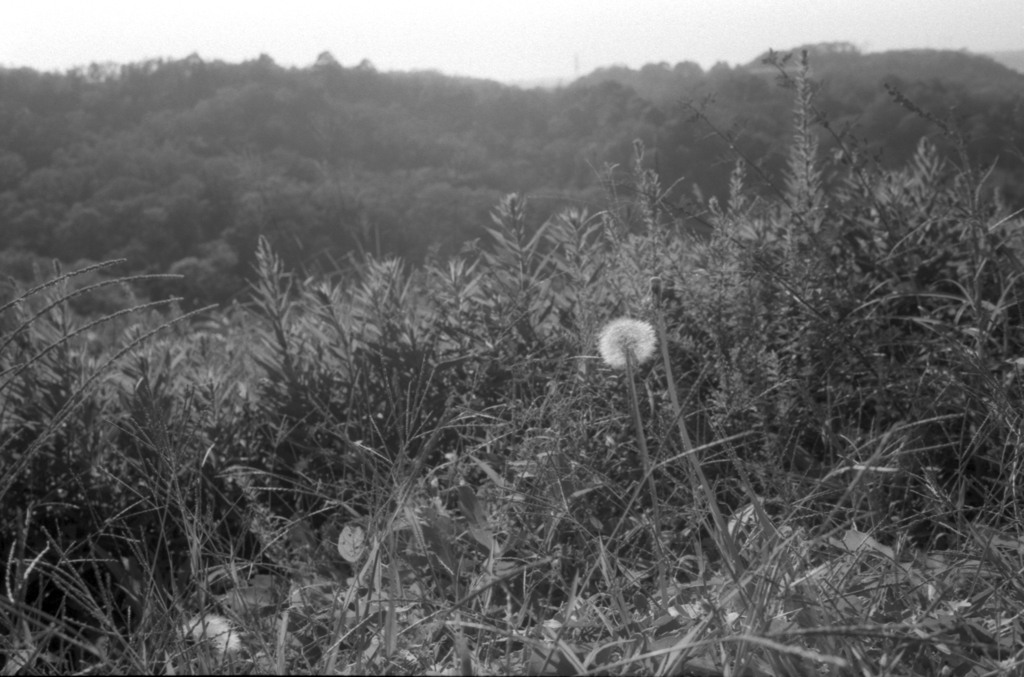 RI_00373