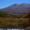 紅葉三昧14