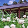 風格のある