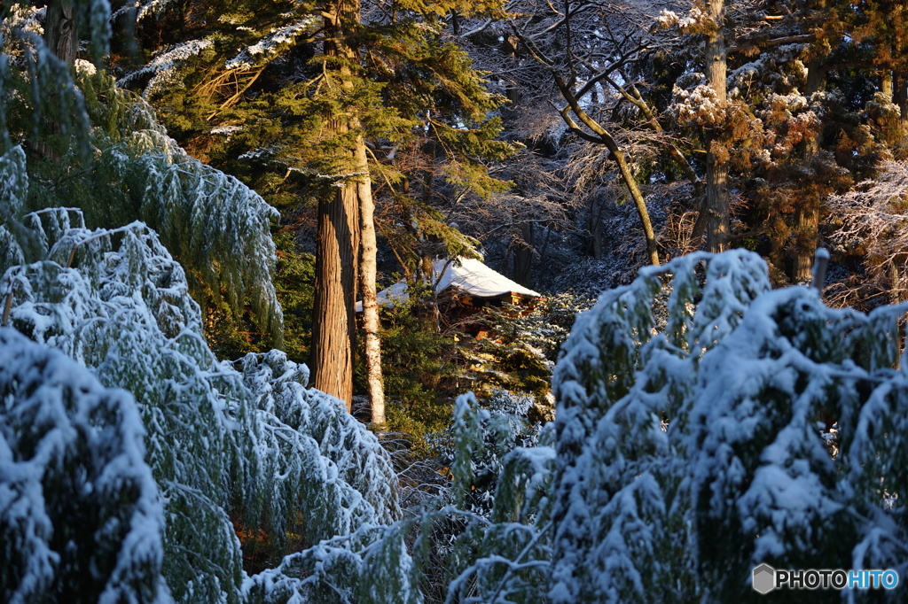 雪景色