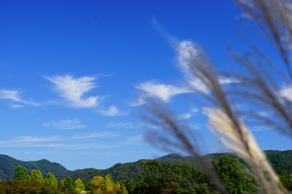 天高く