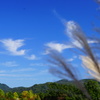 天高く