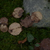 雲洞庵06