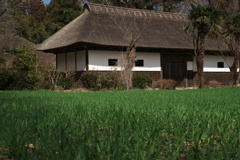 麦と長屋門