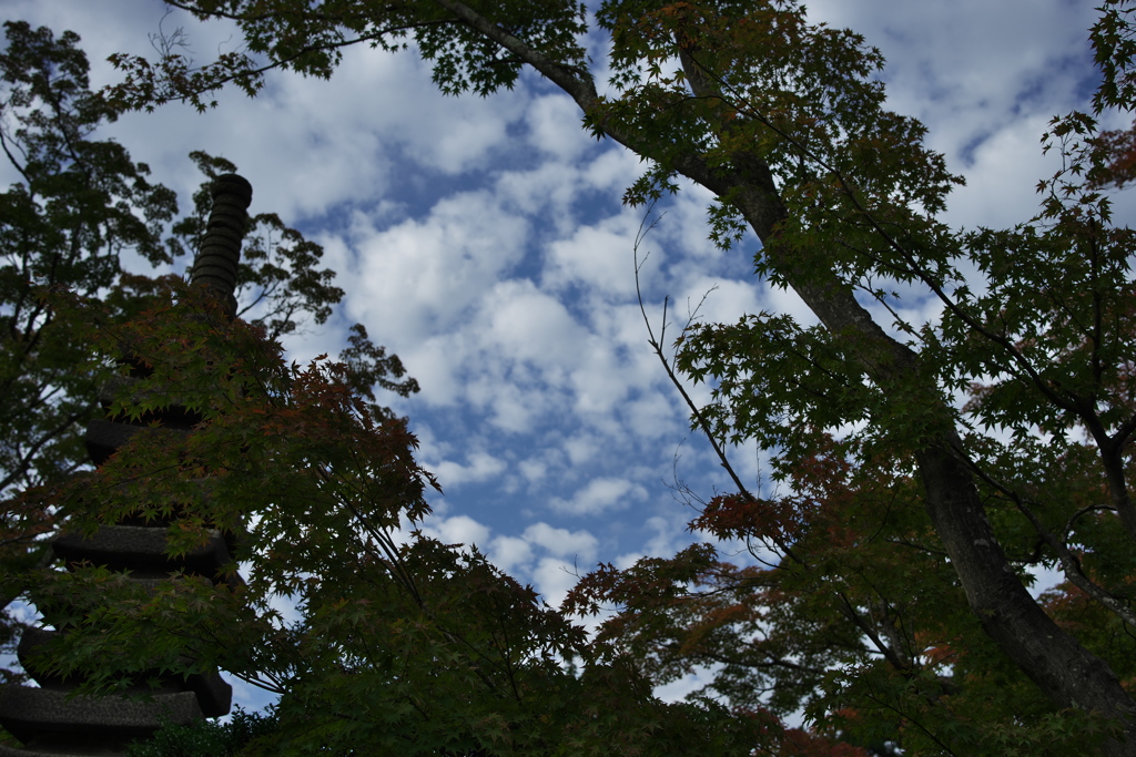 秋の空