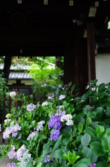 門前