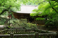室生寺