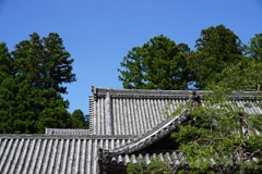 梅雨明けは、まだ