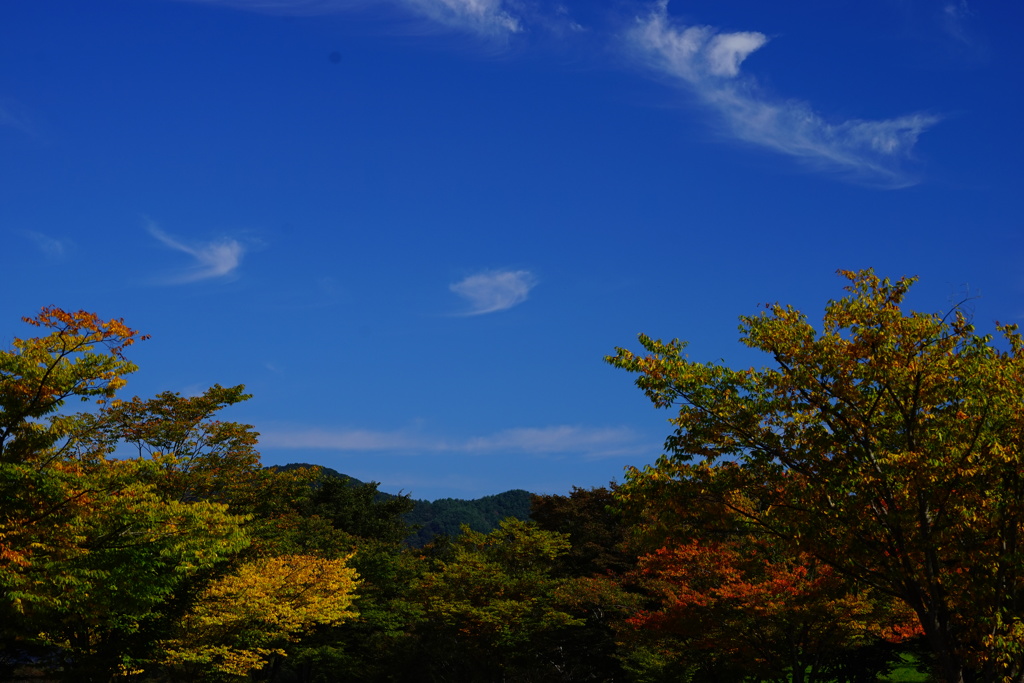 天高くⅡ
