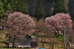 秋田へ　11