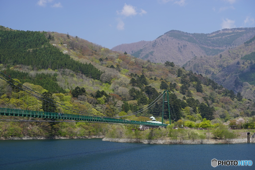 新緑と吊橋03050