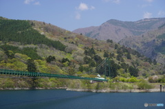 新緑と吊橋03050