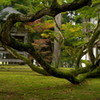 雲洞庵07