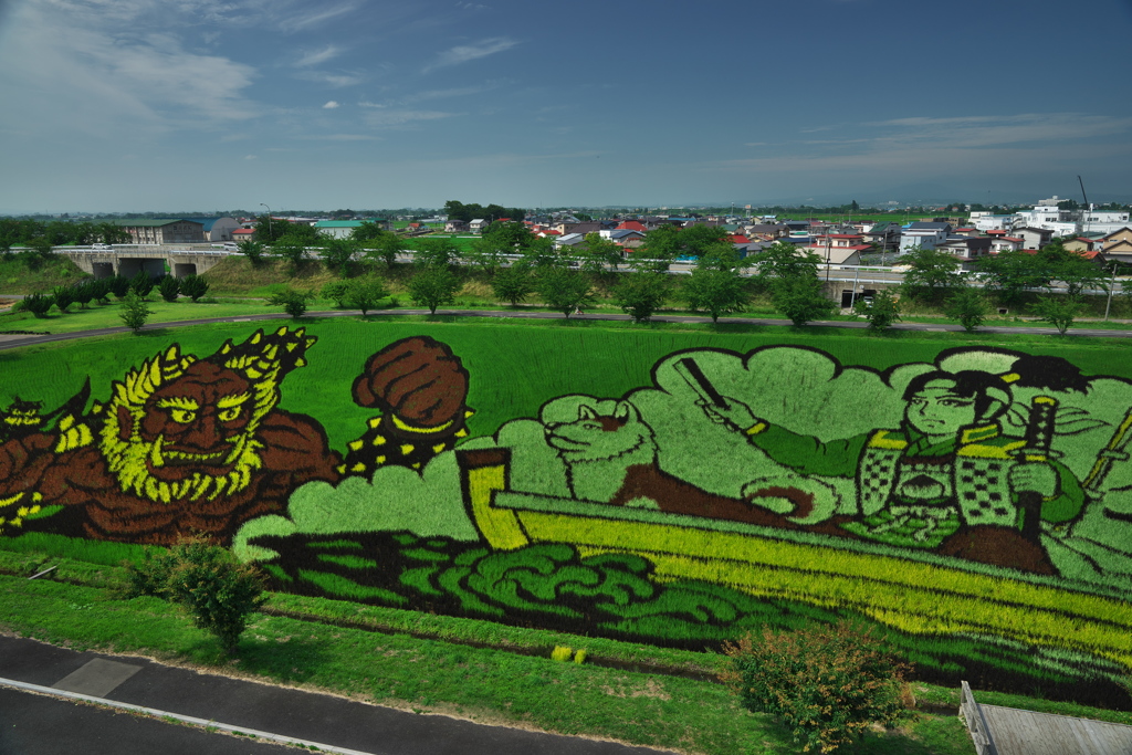 田んぼアート01