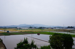 代掻き