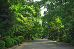 公園