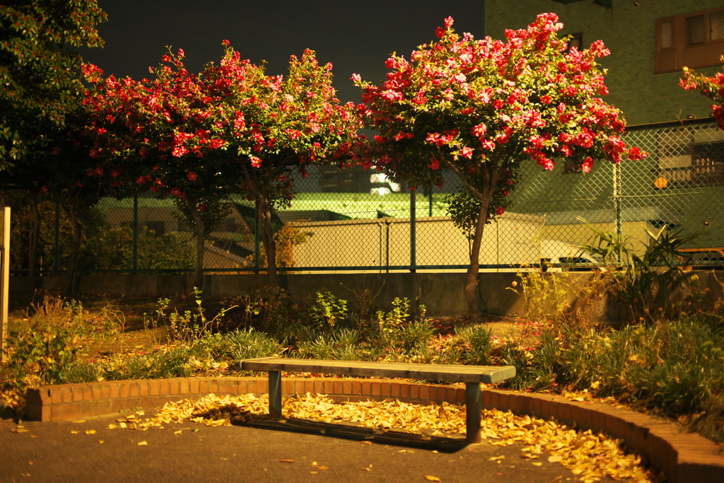 酔いの公園01