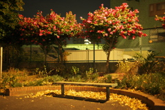 酔いの公園01