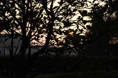 DSC_0103