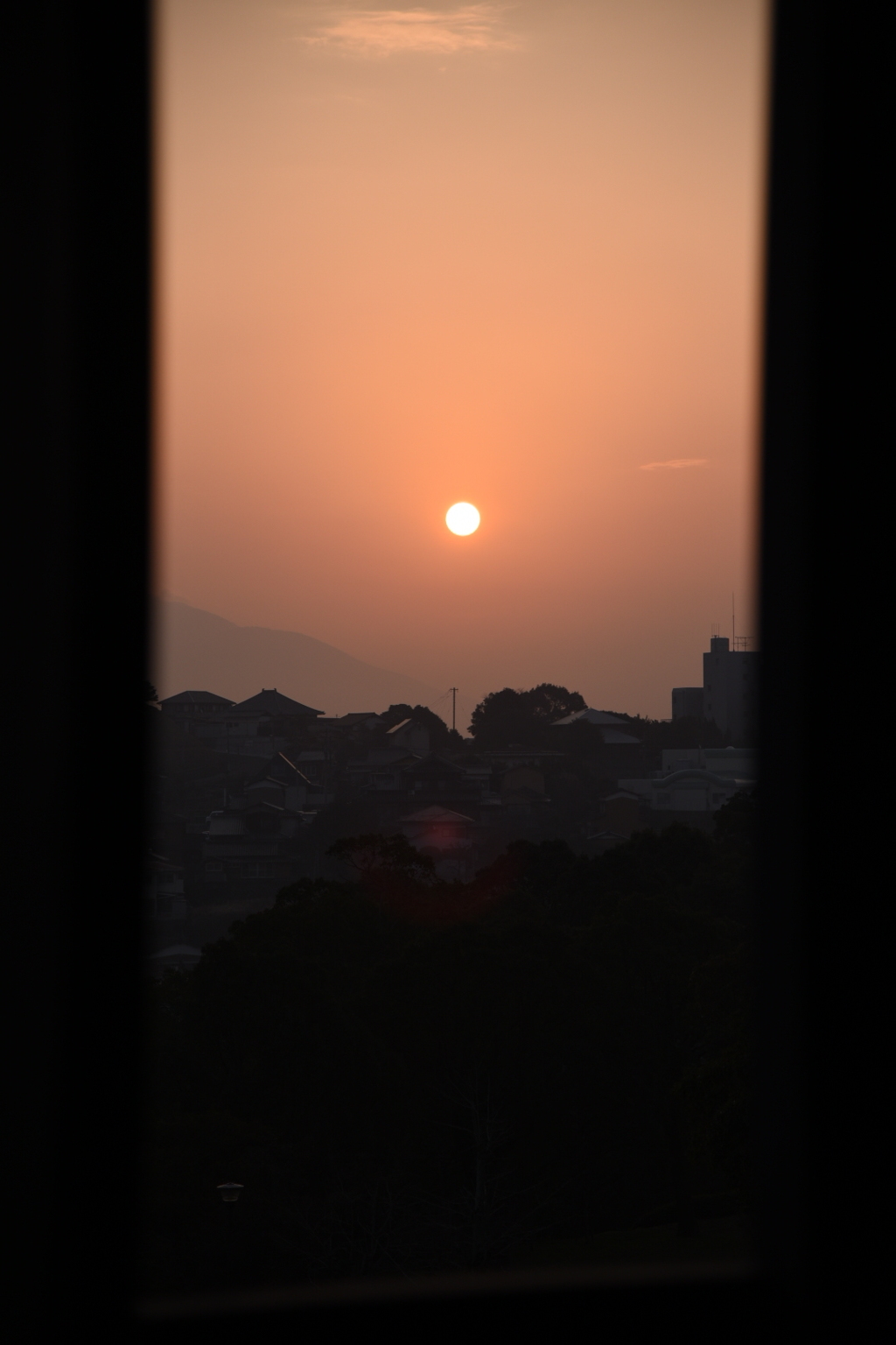 DSC_0086