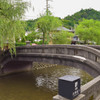 川と橋と柳