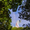 横顔