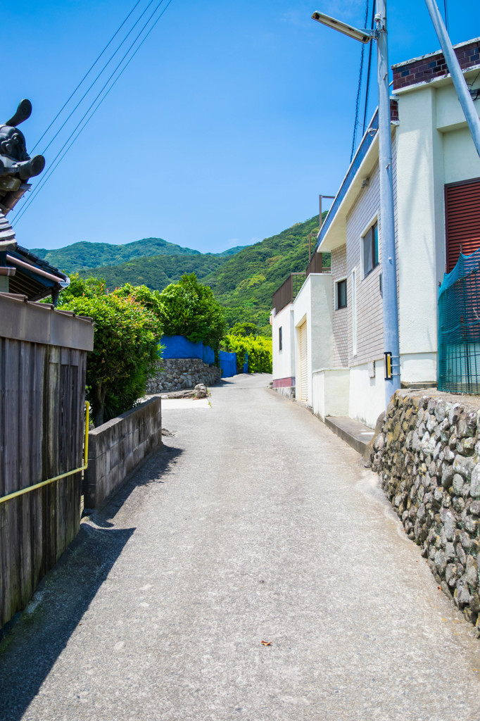 田舎の小道