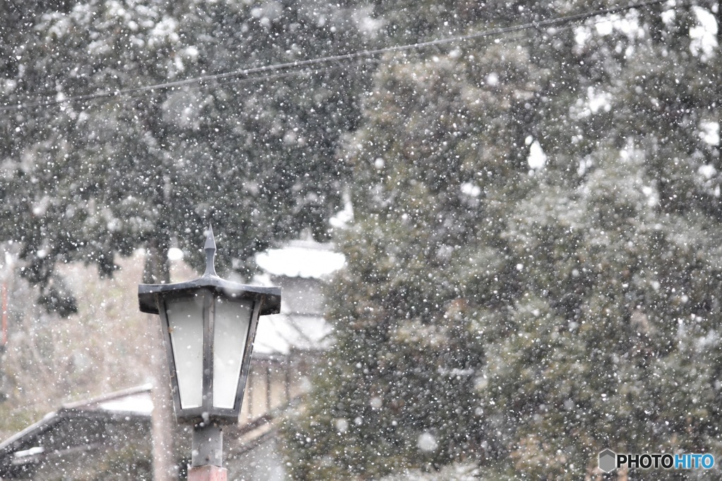 雪と街灯
