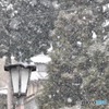 雪と街灯