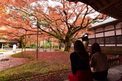 雷山千如寺