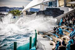 シーワールド054