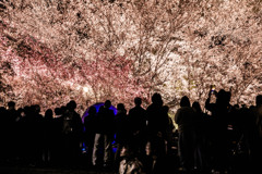 test_001