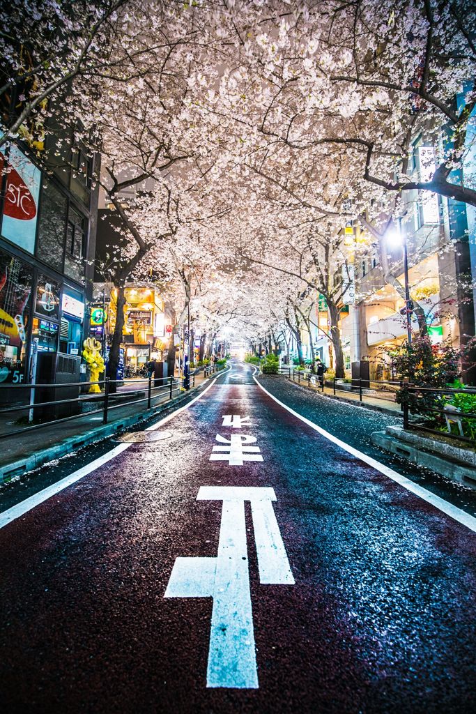 坂000