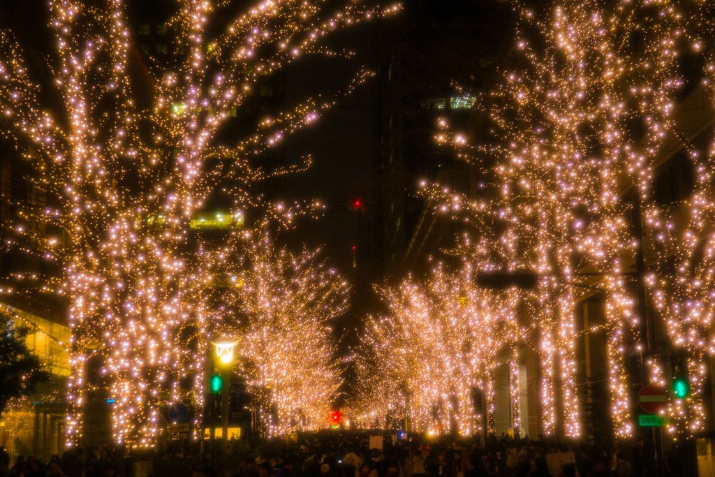 2017017