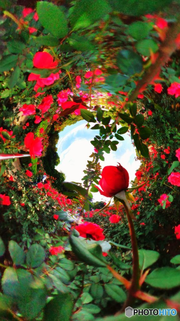 リトルプラネット001