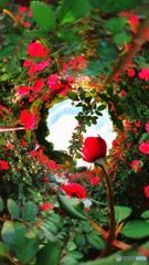 リトルプラネット001