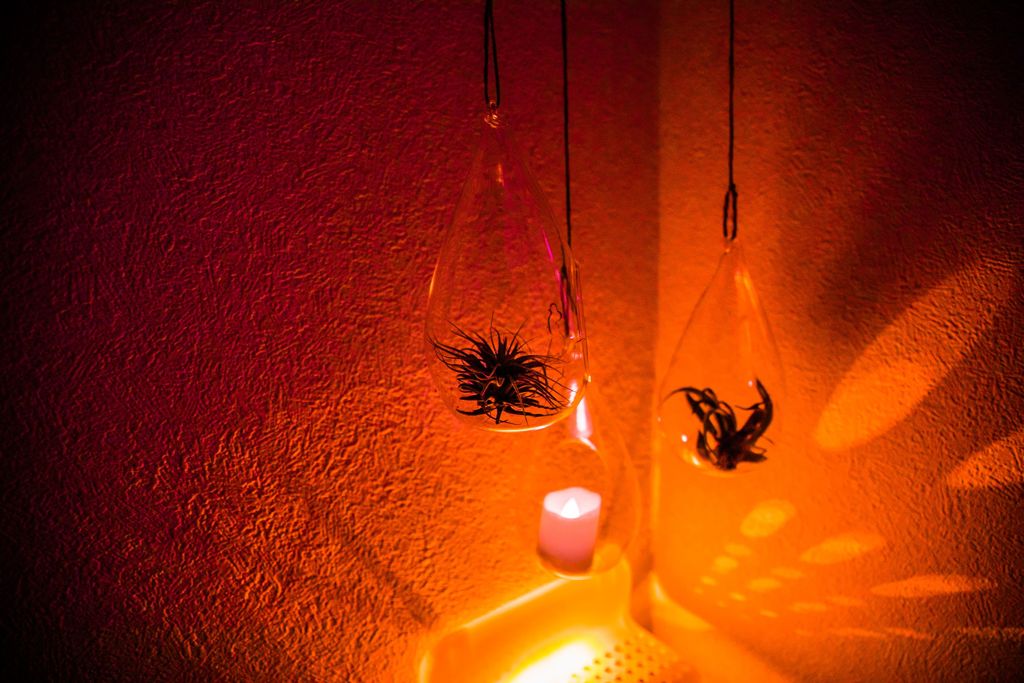 家＠エアプラント006